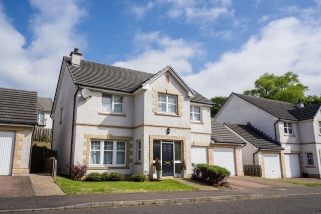 Thumbnail Detached house to rent in Mayfield Grove, Dundee