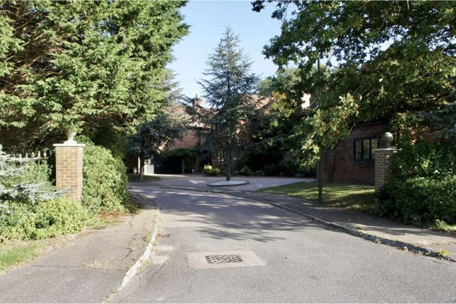 Detached house for sale in Silver Birches, Henfield