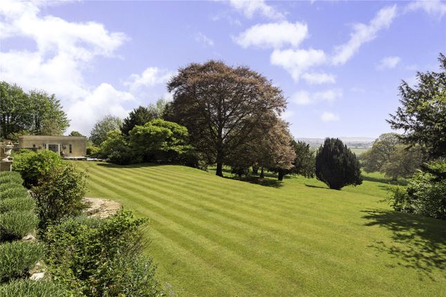 Terrace View