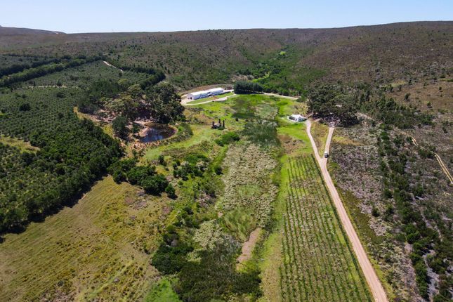 Farm for sale in R320, Hemel-En-Aarde Valley, Hermanus Coast, Western Cape, South Africa