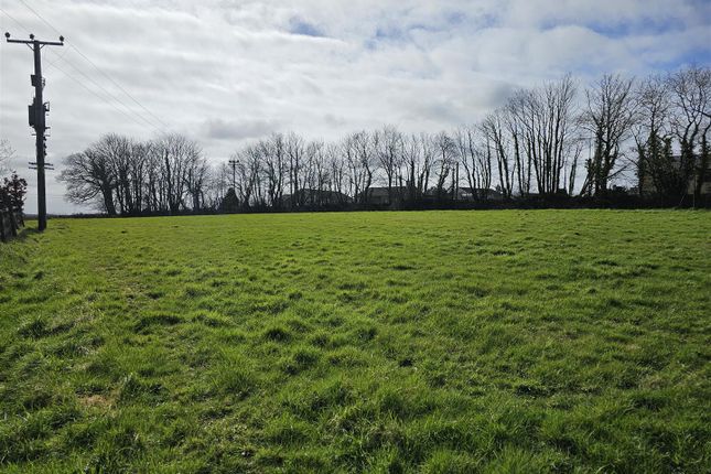 Land for sale in South Petherwin, Launceston