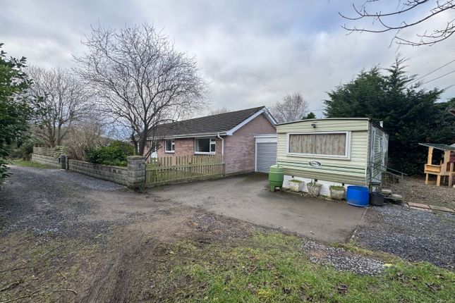 Tyn Y Lon, Llanrhystud, Ceredigion photo 4