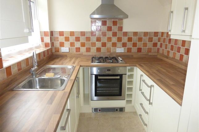 Thumbnail Terraced house to rent in Penarth Walk, Hartlepool