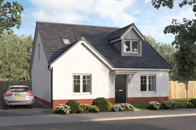 Thumbnail Detached house for sale in Stirling Road, Larbert