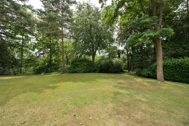 Detached house for sale in Brooks Close, St George's Hill, Weybridge, Surrey