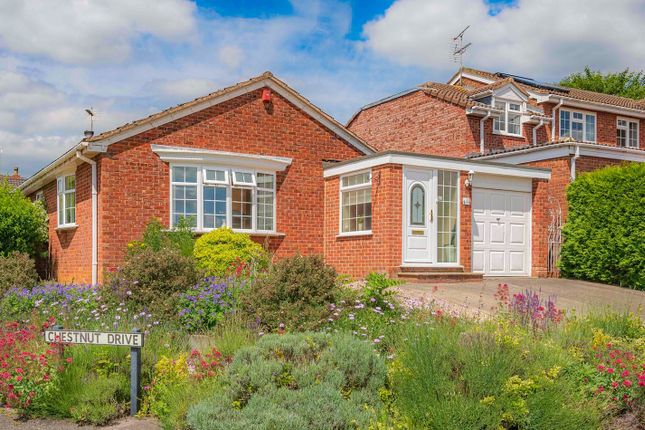 Thumbnail Detached bungalow for sale in Chestnut Drive, Desborough, Kettering