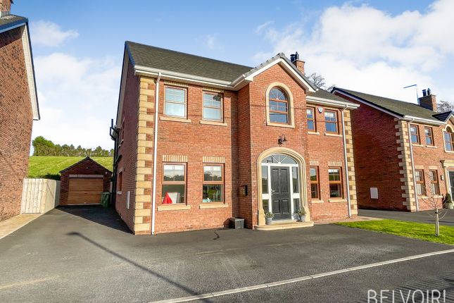 Thumbnail Detached house to rent in Thorndale View, Lisburn