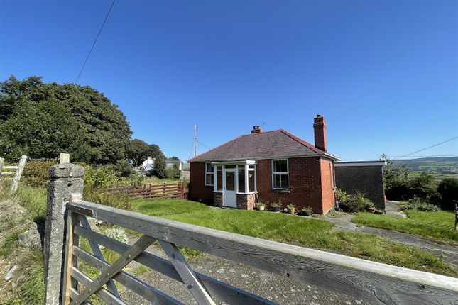 Detached bungalow for sale in Ystrad Meurig