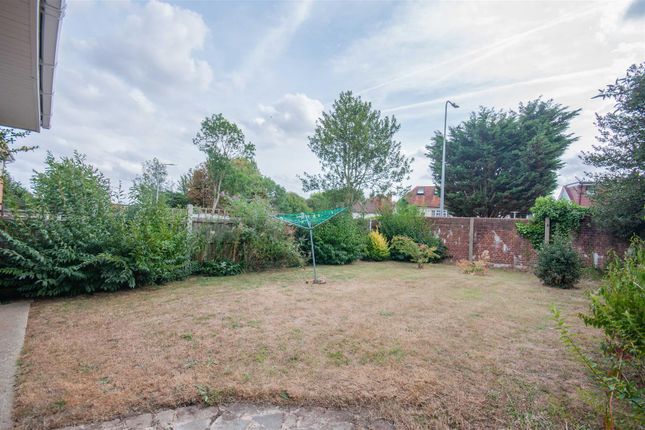47, Petersfield, Chelmsford photo 3