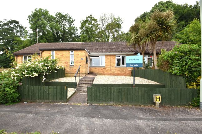 Seddons Tiverton