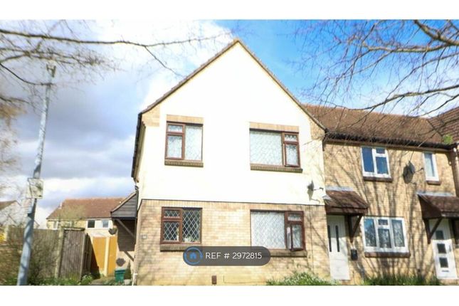 Cleveland Close, Highwoods, Colchester photo 5