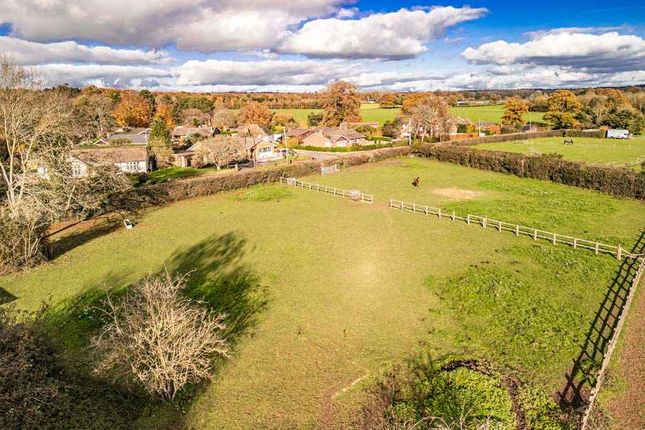 Palmer's Meadow Equestrian Plot, Goring Heath Road, Whitchurch Hill photo 4