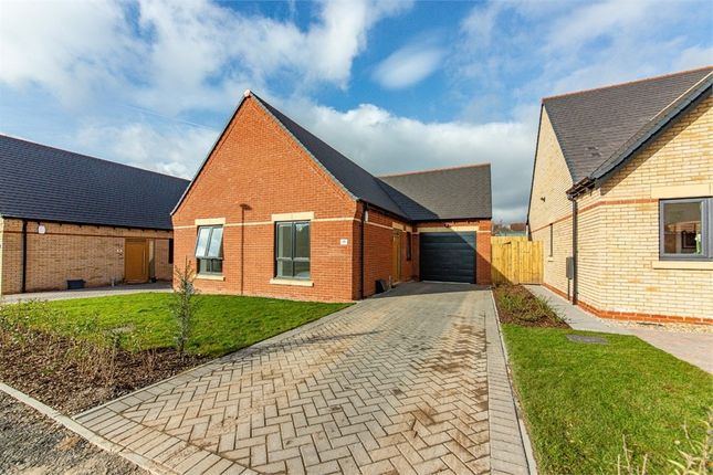 Thumbnail Detached bungalow for sale in The Ely At Sheepbridge Park, Walker Homes, Mansfield