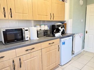 17 Larch Avenue, Shildon photo 4