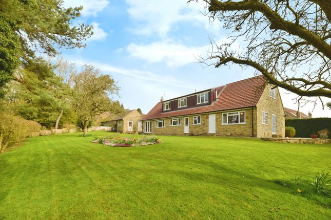 Thumbnail Bungalow for sale in Over Silton, Thirsk, North Yorkshire