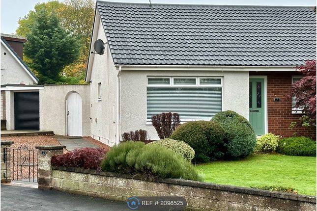 Thumbnail Semi-detached house to rent in Westerton Avenue, Broughty Ferry, Dundee