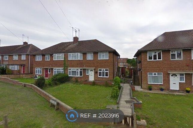 Thumbnail Semi-detached house to rent in Gloucester Crescent, Rushden