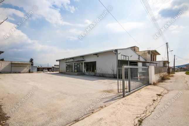 Property for sale in Center, Magnesia, Greece