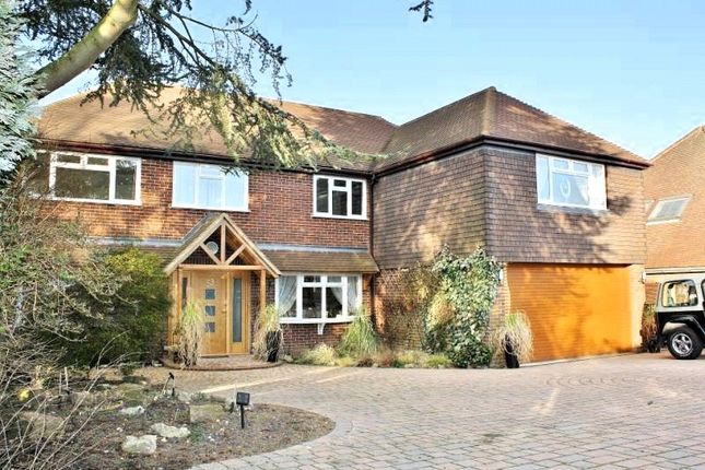 Thumbnail Detached house to rent in Pewley Hill, Guildford, Surrey