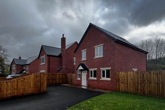 Thumbnail Detached house to rent in Rainbow View, Llandrindod Wells