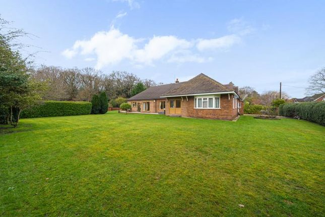 Detached bungalow for sale in Chobham Road, Knaphill, Woking