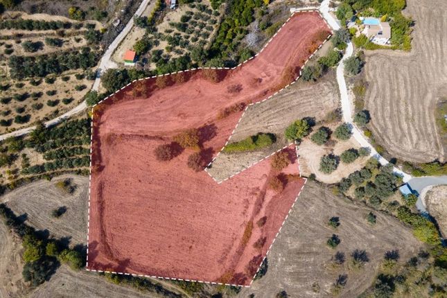 Thumbnail Land for sale in Akourdaleia, Pafos, Cyprus