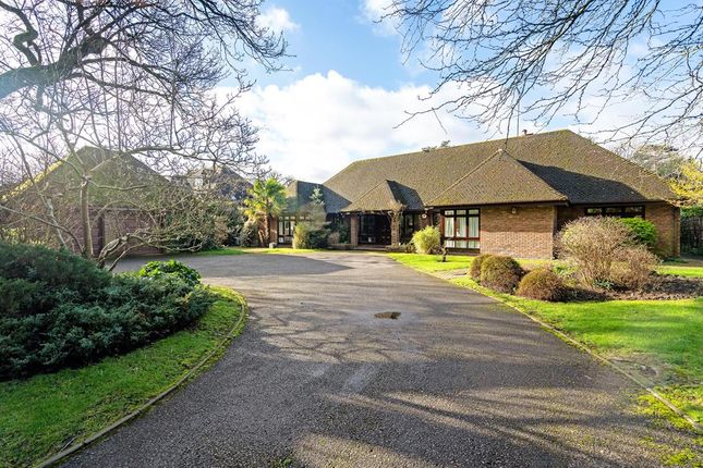 Detached house to rent in Littleworth Common Road, Esher
