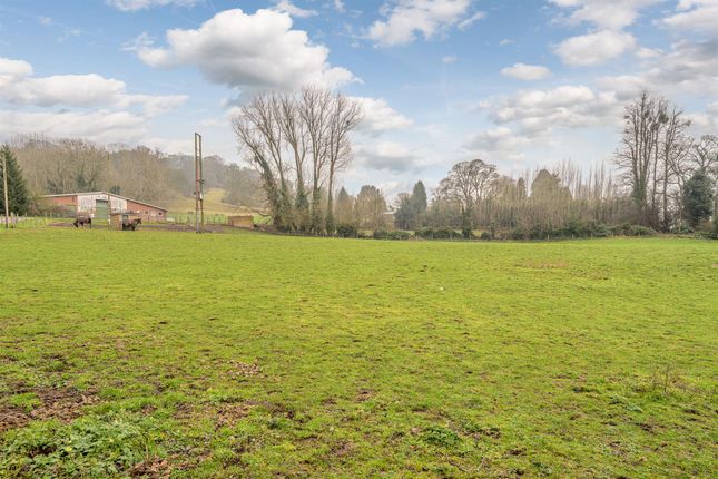 33, Pedmore Lane, Stourbridge photo 3
