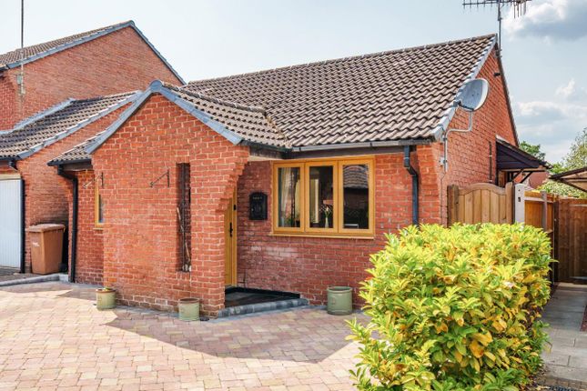 Thumbnail Detached bungalow for sale in Caernarvon Gardens, Valley Park, Chandlers Ford