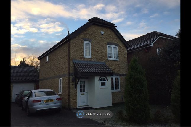 Detached house to rent in Turnstone Close, Wokingham