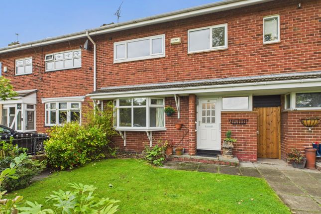 Cam02386G0-Pr0146-Still035