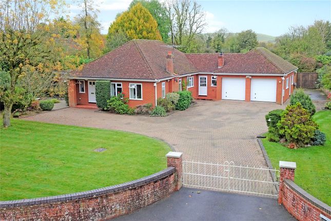 Thumbnail Bungalow for sale in The Street, Bishop's Cannings, Devizes