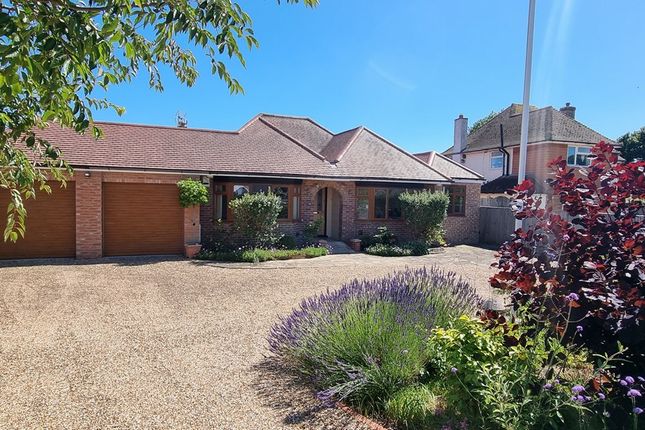 Thumbnail Detached bungalow for sale in Thorne Crescent, Bexhill-On-Sea