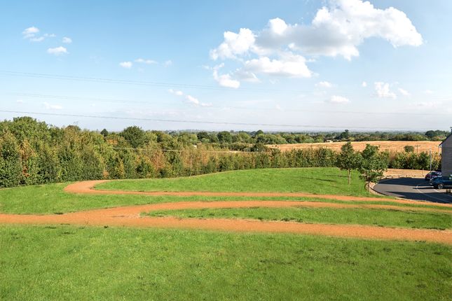 Upper Ox Hill, Purton photo 4
