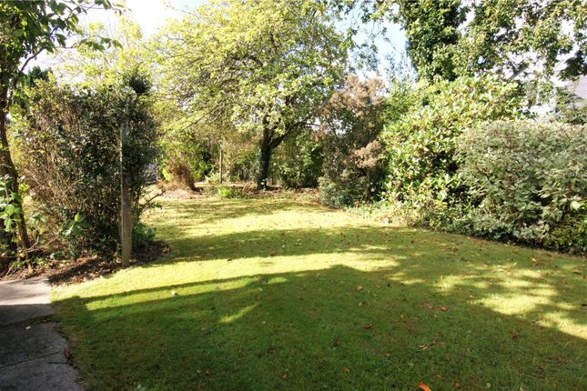 9, Albert Road, Wimborne photo 4