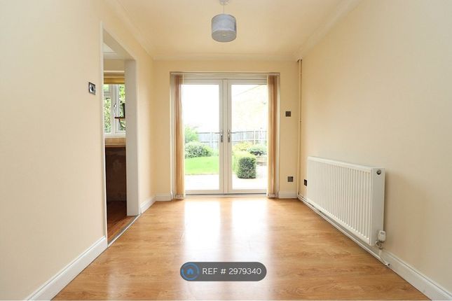 Daffodil Way, Chelmsford photo 4