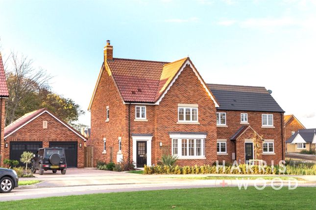 Thumbnail Detached house for sale in Admirals Green, Great Bentley, Essex