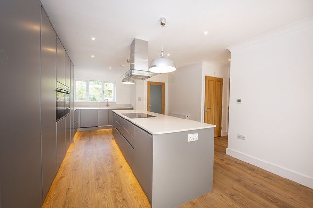 Lower Hampton Road, Sunbury-on-Thames photo 4