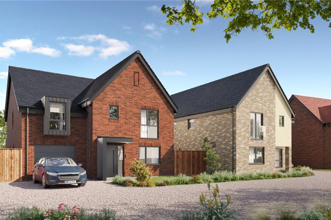 Plot 5