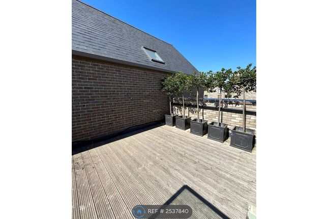 Terrace Garden