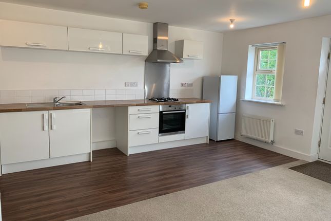 Thumbnail Flat to rent in Robinson Avenue, Sheffield