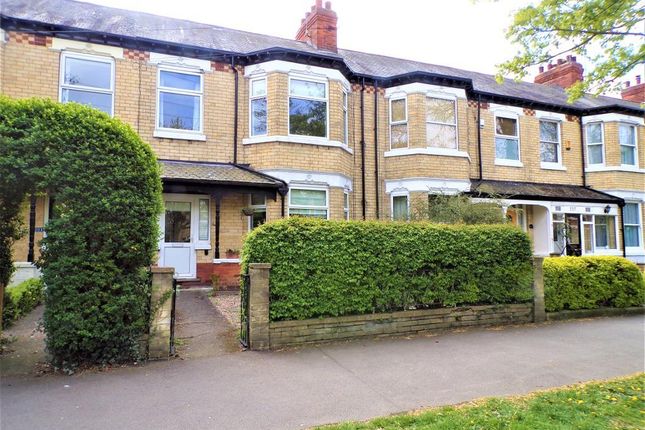 Thumbnail Terraced house for sale in Victoria Avenue, Hull