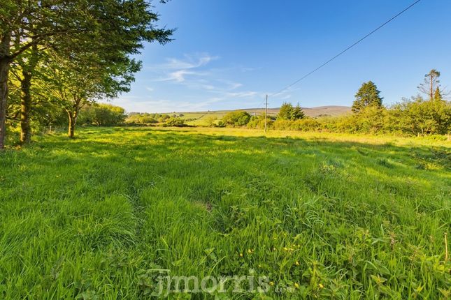 St. Brannarch, Clynderwen photo 4