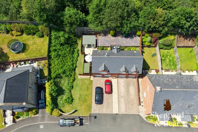 113, Coed Y Wenallt, Cardiff photo 2