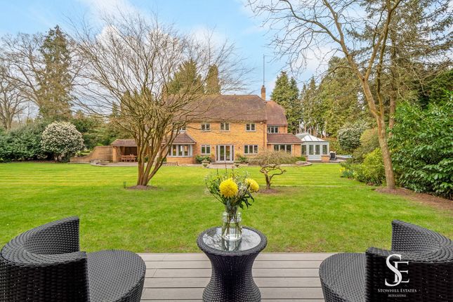 Garden From Summer House