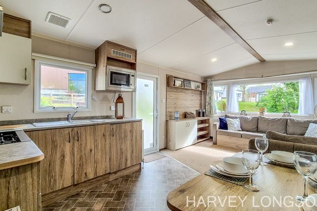 Hedley Wood Holiday Park, Bude photo 3