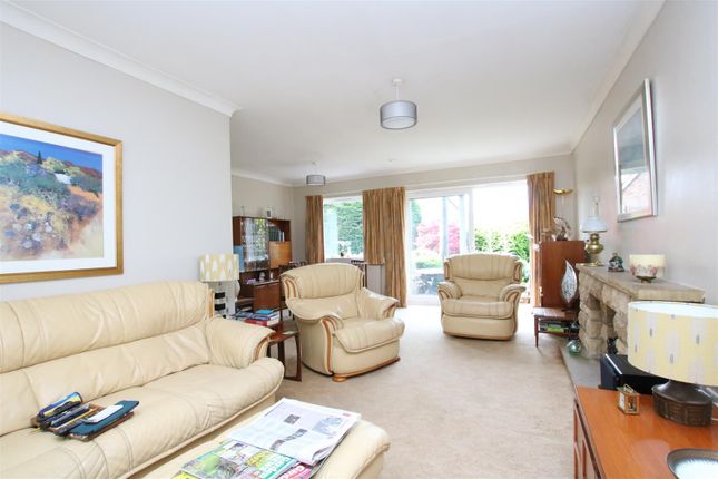 11, Collins Road, Exeter photo 3