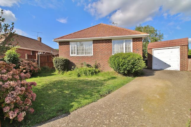 Detached bungalow to rent in Springfield Close, Bedhampton, Havant