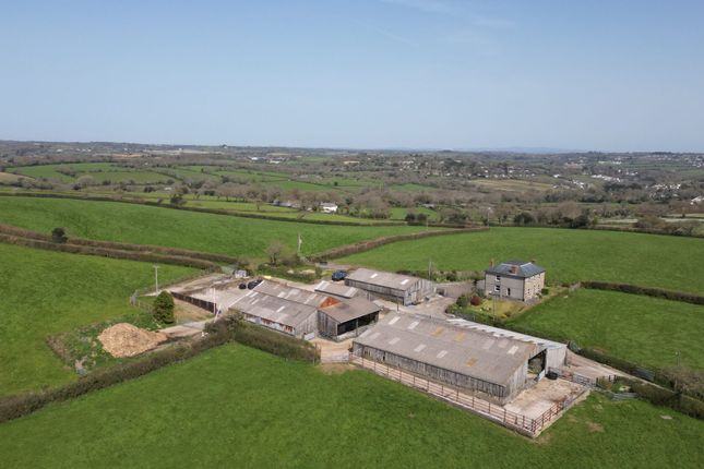 Pellynwartha Farm, Truro photo 4
