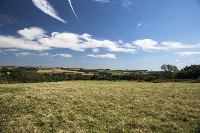 Thumbnail Land for sale in Cruxton Lane, Maiden Newton, Dorchester